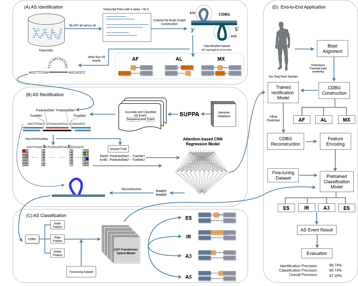 IRCAS Workflow